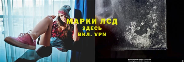 кокс Гусев
