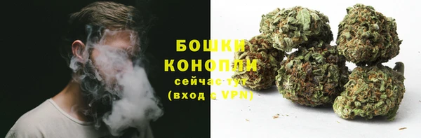кокс Гусев