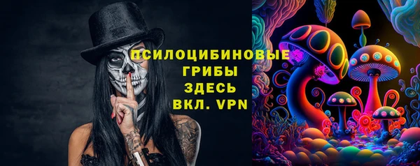 кокс Гусев