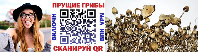 Галлюциногенные грибы GOLDEN TEACHER Псков